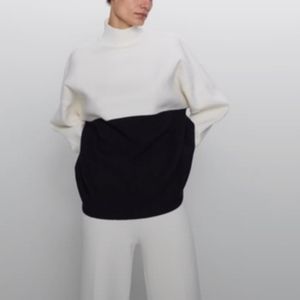 Zara oversized colorblock sweeter
